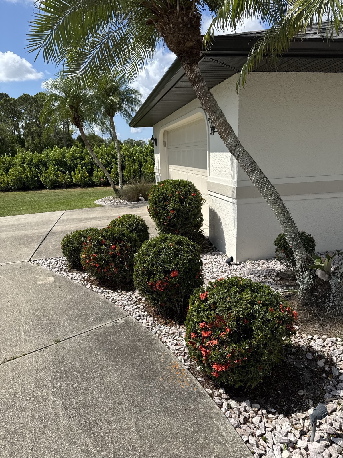Landscape design and installation in North Port FL — trimmed shrubs and flower beds