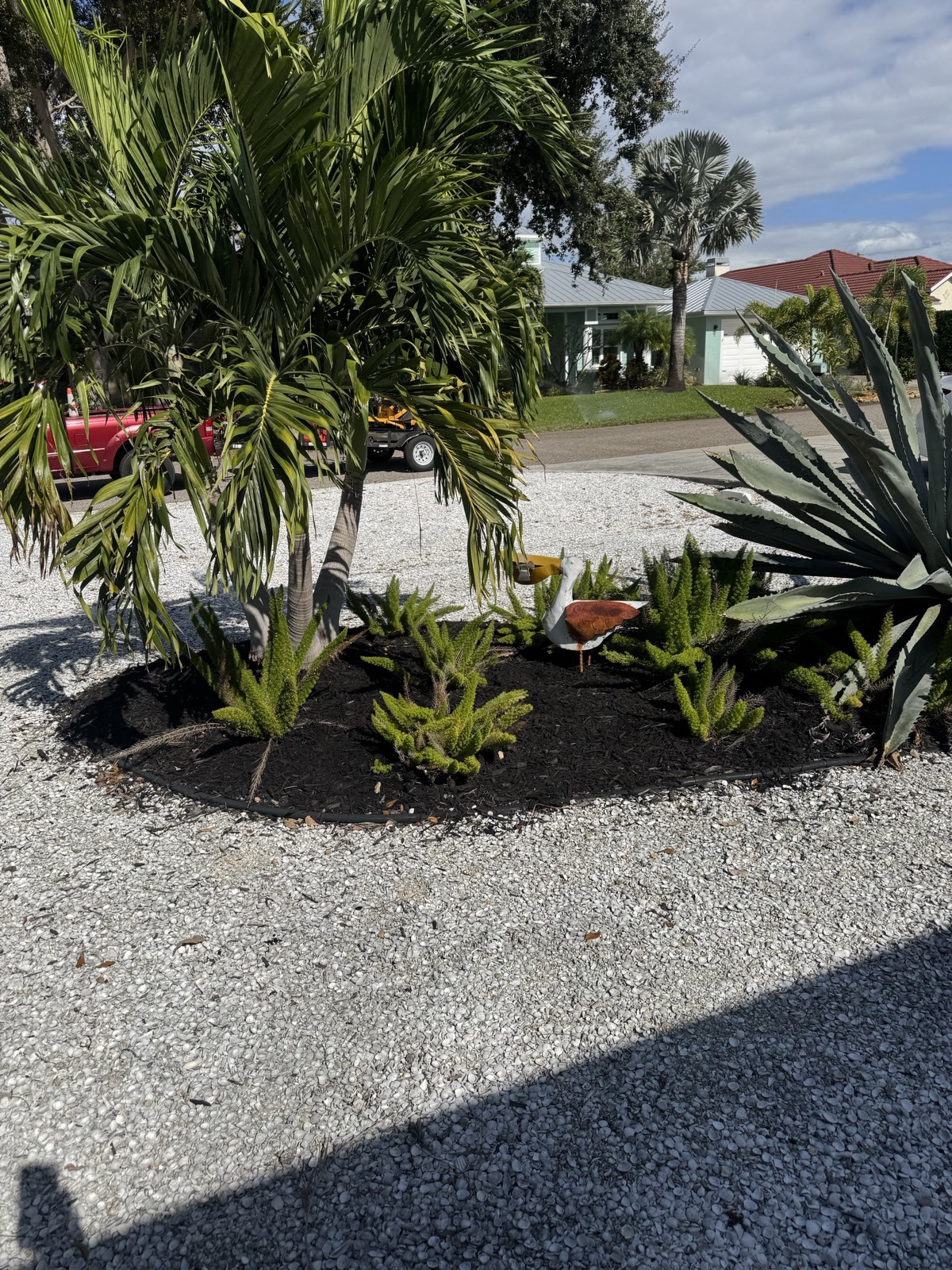 Tropical plant installation in North Port FL — palms, shrubs, and decorative rock landscaping