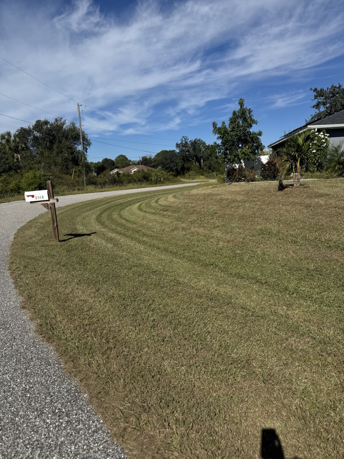 Seasonal lawn cleanup service in North Port FL — pristine curved mowing stripes